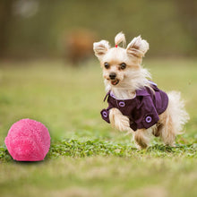 Load image into Gallery viewer, Anti-Anxiety Automatic Magic Rolling Ball - ObeyKart

