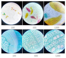 Load image into Gallery viewer, Professional 100X-1200X Microscope Biology Science Metal Kit - The Gadgets Emporium

